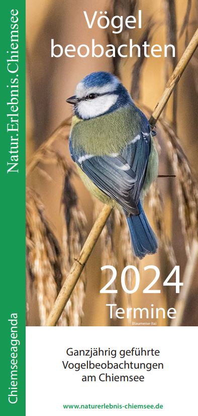 vogelbeobachtungen-chiemsee-2024.jpg