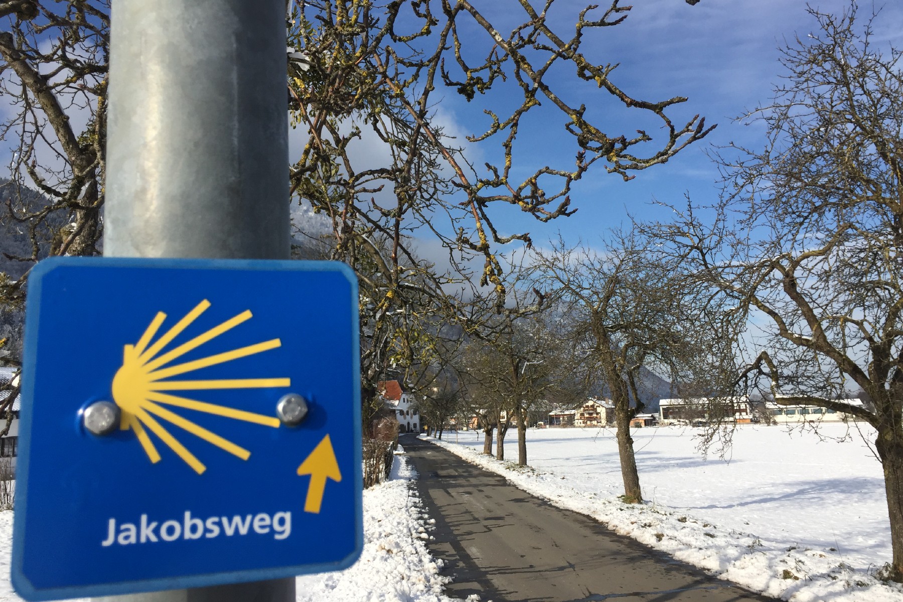 Jakobsweg-Winter.jpg