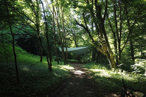 Outdoorcamp - Waldweg