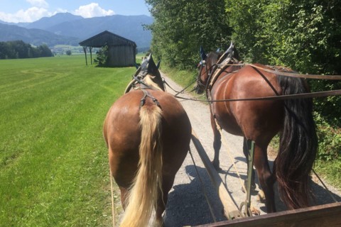 Pferdekutschfahrt Bad Feilnbach