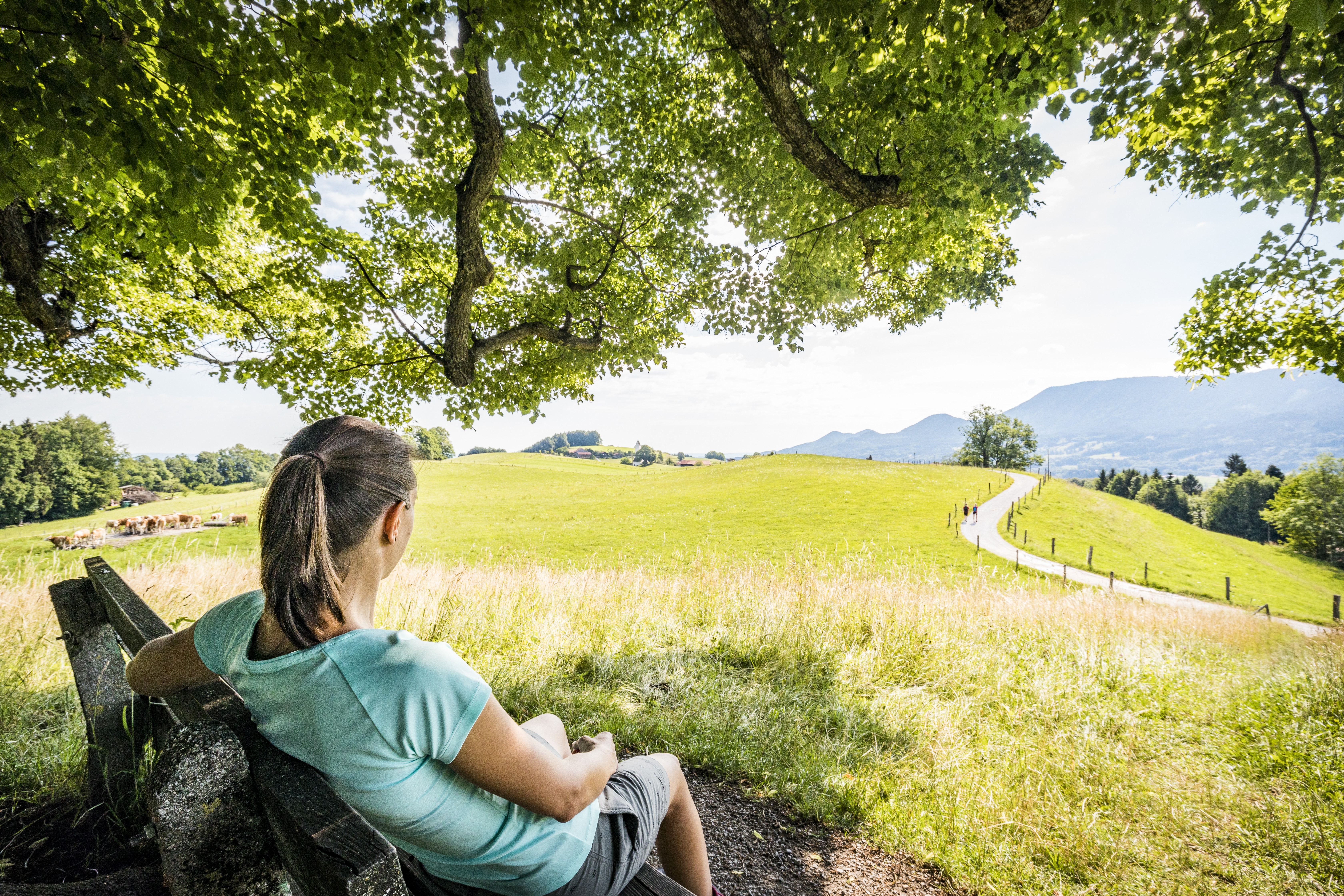 Frau sitzt auf einer Bank und blickt in die Ferne mit grüner Landschaft