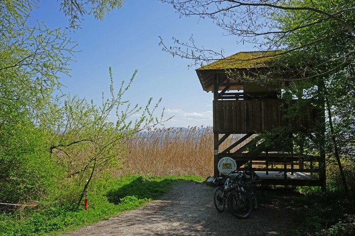 naturbeobachtungsstation-ganszipfel-gstadt-chiemsee-(c)chiemsee-alpenland-tourismus.jpg