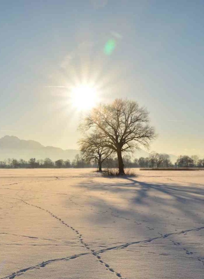 bergblick-winter-schnee-sonne-panorama-berge-704x964.jpg